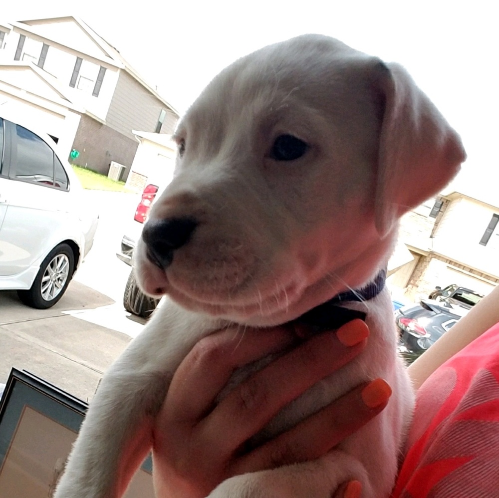 Meet your Posher, Cassy