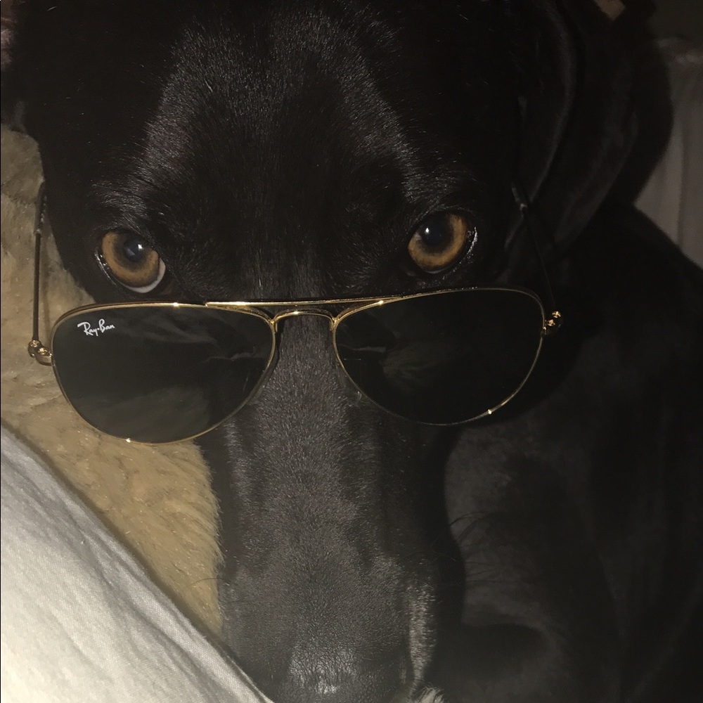 Meet your Posher, Leslie