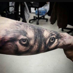 Meet your Posher, Darius