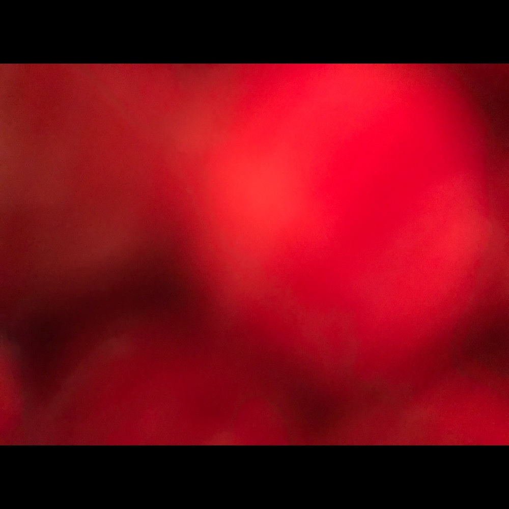 Meet your Posher, Domonique