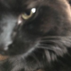 Meet your Posher, Jimmy