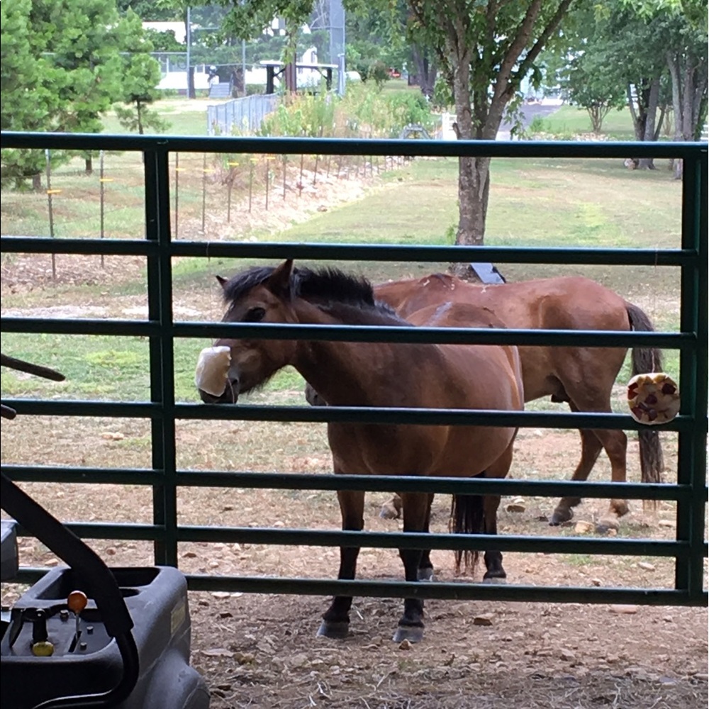 Meet your Posher, Heather