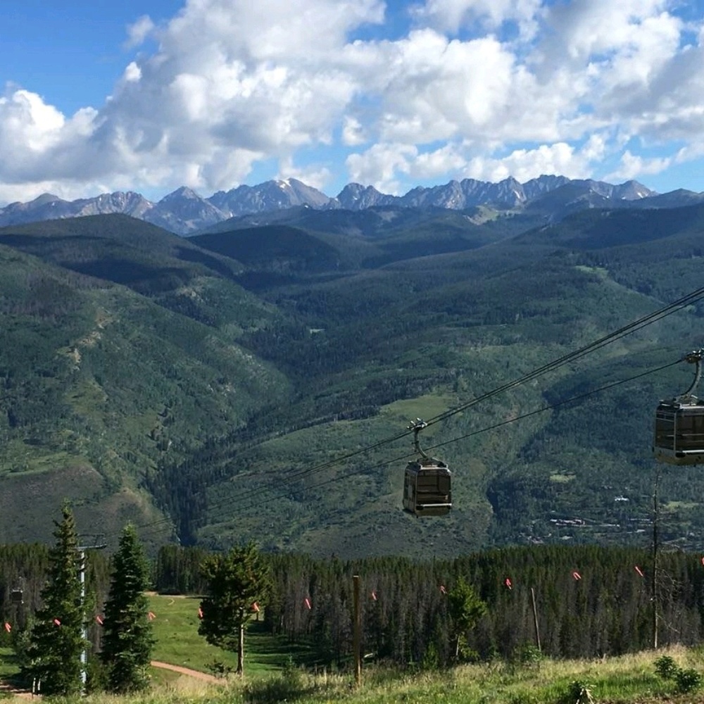 Meet your Posher, Janie