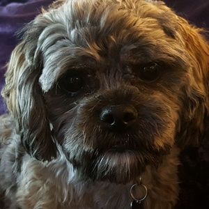 Meet your Posher, Judy