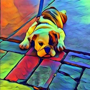 Meet your Posher, James