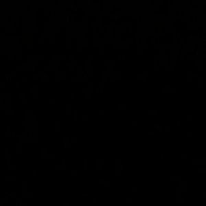 Meet your Posher, Lahna