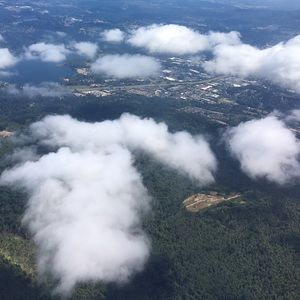 Meet your Posher, Sammy