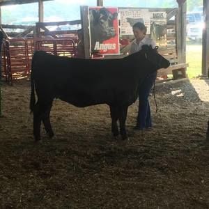 Meet your Posher, Mallorie