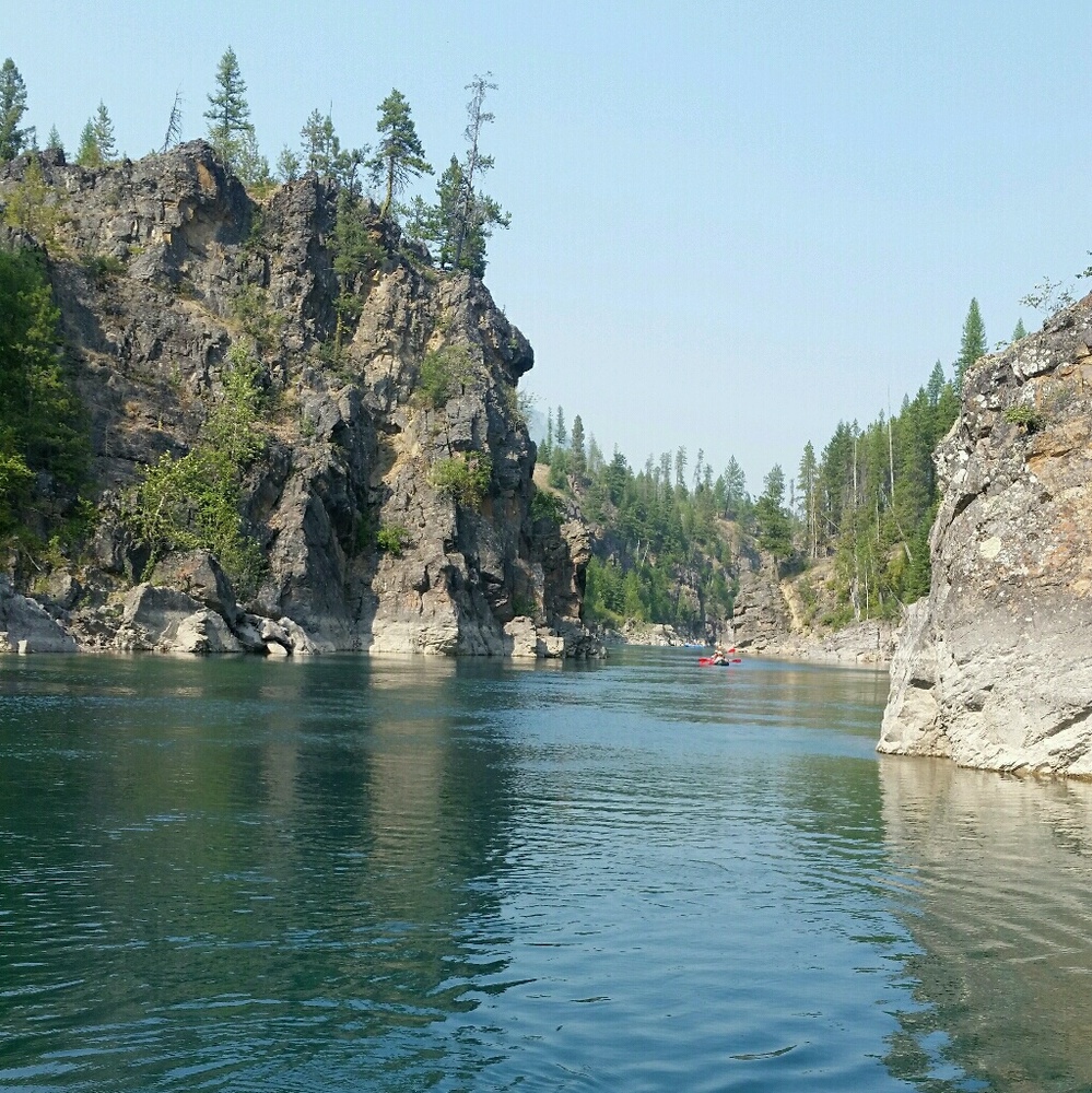 Meet your Posher, Gina