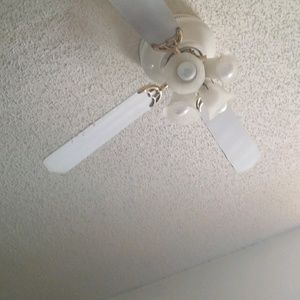 Meet your Posher, Ernestine