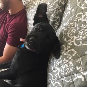 Meet your Posher, Hannah