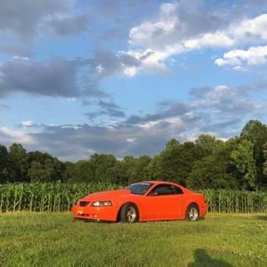 Meet your Posher, Kyle