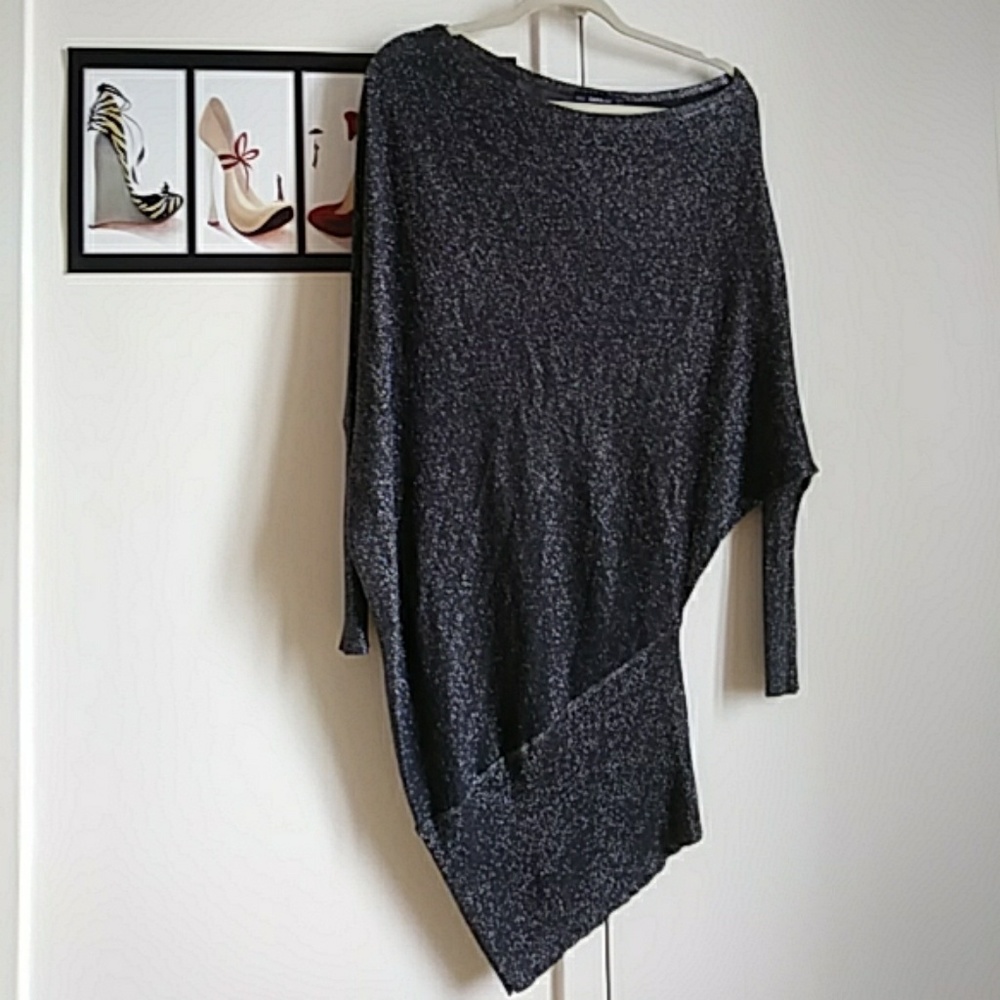 Zara Knit off the shoulder long sleeve dress.