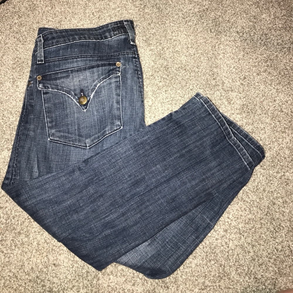 Hudson Capris - image 1