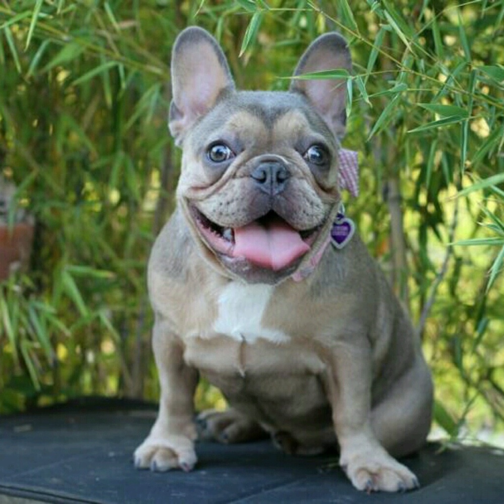 Meet your Posher, Alex