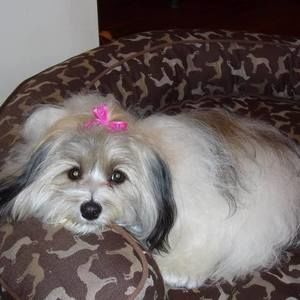 Meet your Posher, Beth