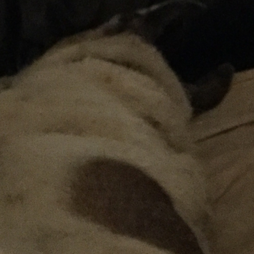 Meet your Posher, Myrna