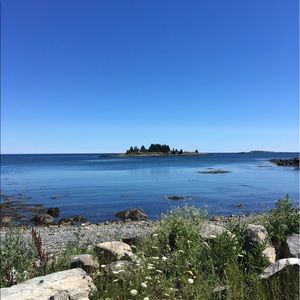 Meet your Posher, Abigail