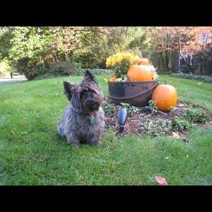 Meet your Posher, Stan