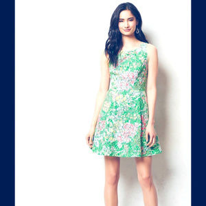 Anthropologie "Not a Wallflower" floral lace dress