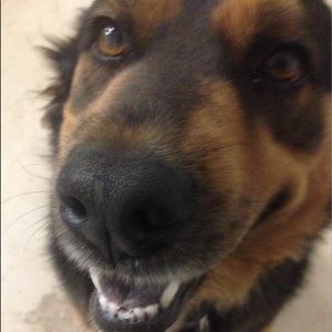 Meet your Posher, Will