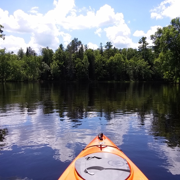 Meet your Posher, Laura - Picture 4 of 8