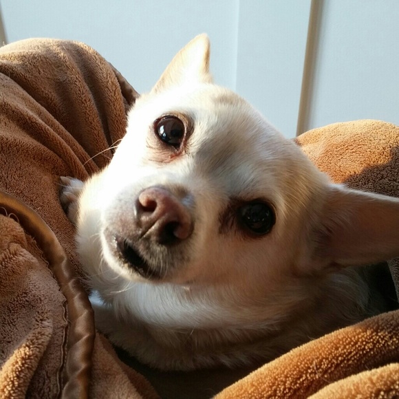 Meet your Posher, Laura - Picture 7 of 8