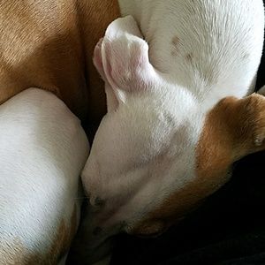 Meet your Posher, Nathan