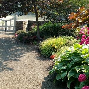 Meet your Posher, Shirley