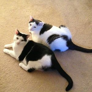 Meet your Posher, Lori