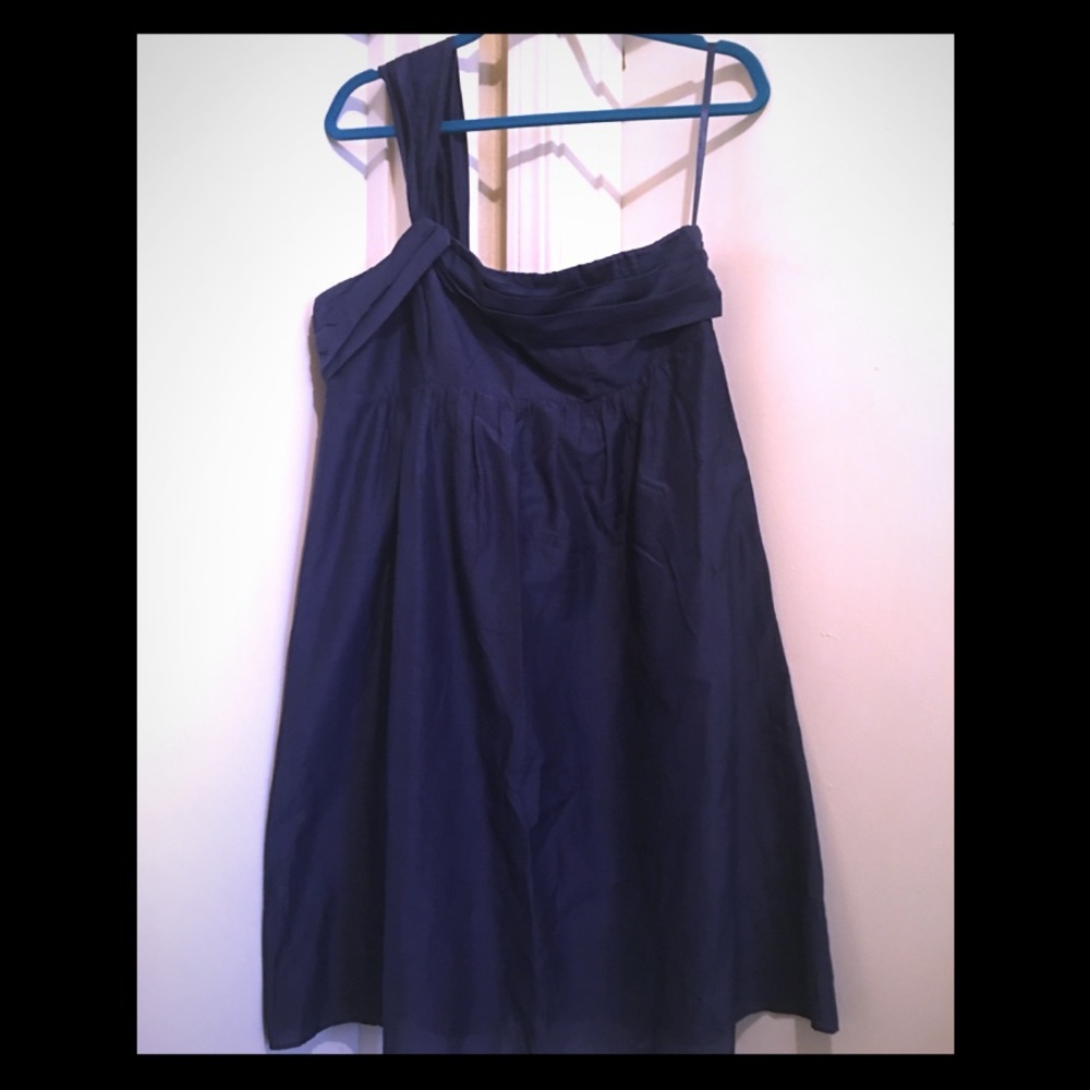 Anne Taylor Loft Dress