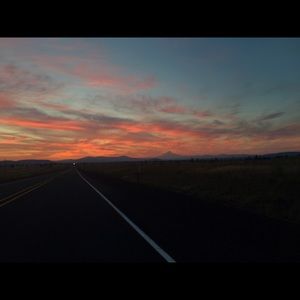 Meet your Posher, Pearl