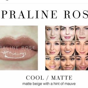 New SeneGence Lipsense praline rose lipstick💋