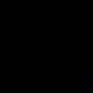 Meet your Posher, Tanner