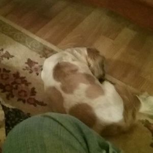 Meet your Posher, Pam