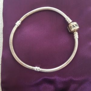 Pandora Ionic Charm Bracelet