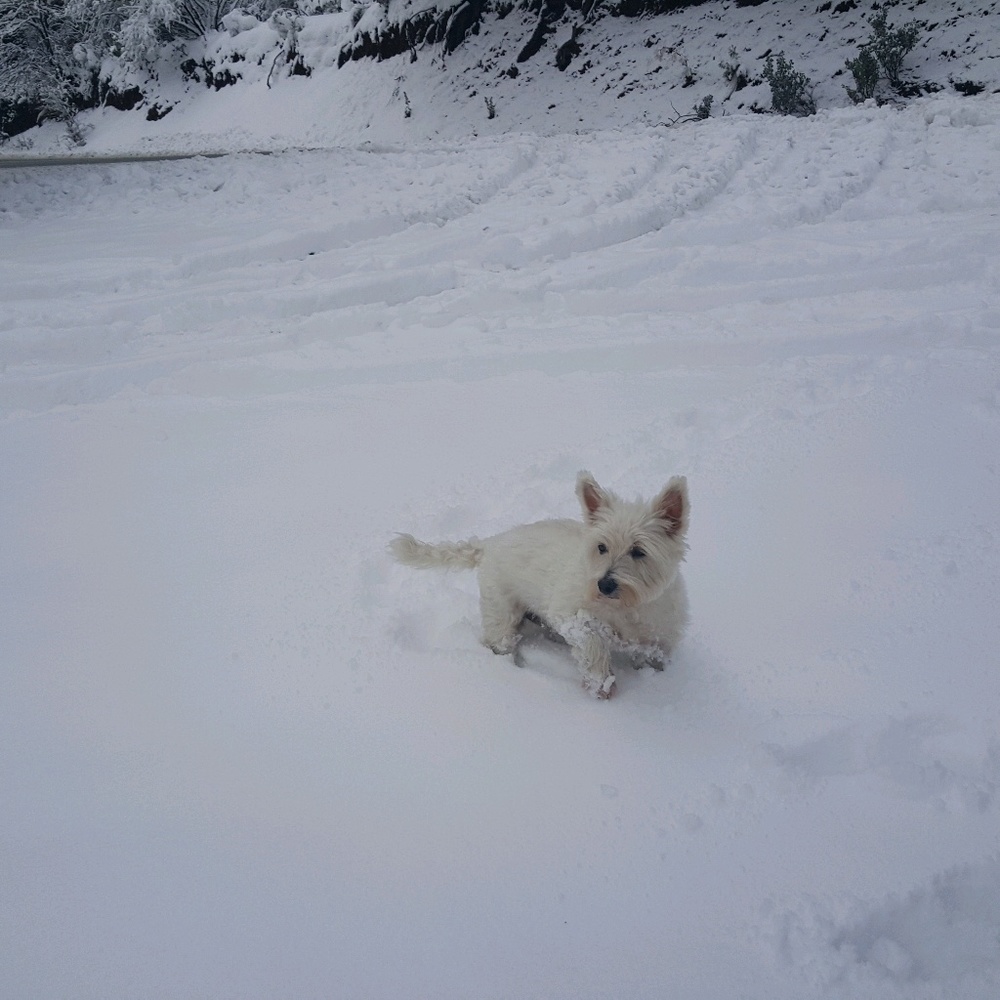 Meet your Posher, Melanie