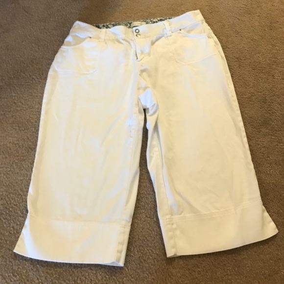 Christopher & Banks Pants - PLUS capris