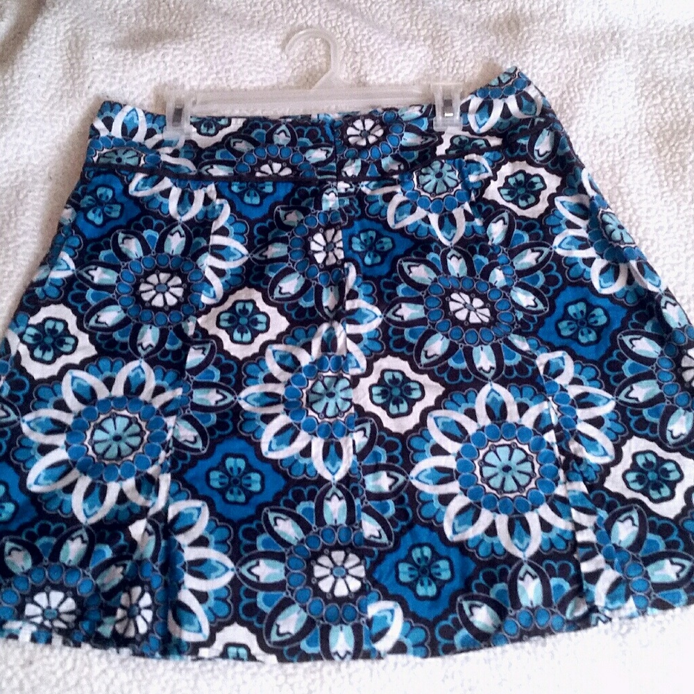 Ann Taylor Skirt