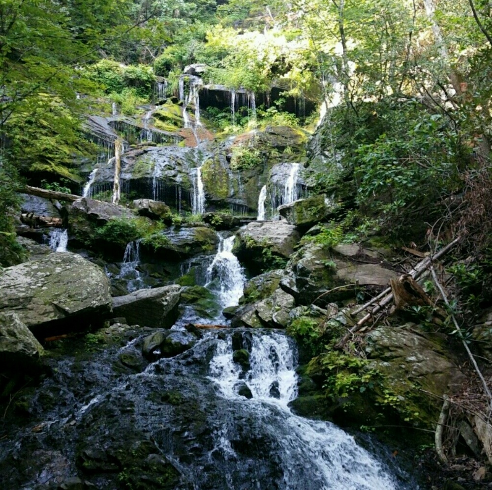 Meet your Posher, Parker