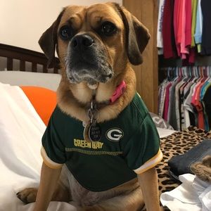 Green Bay Packers Dog Jersey