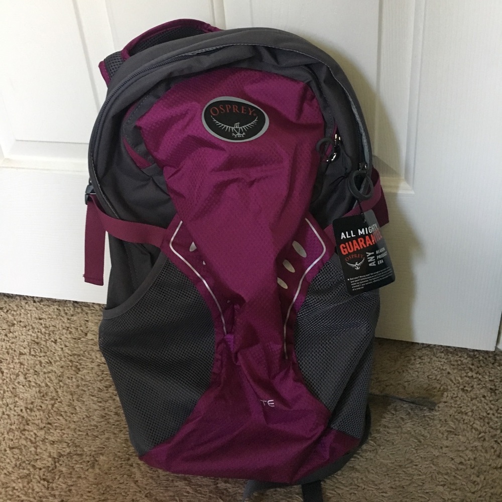 Small day hiking backpack  brand - Osprey