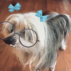 Meet your Posher, Jodi