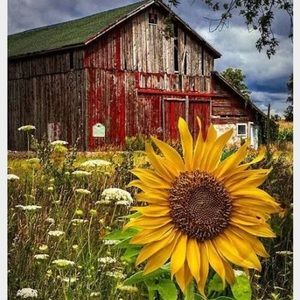 Meet your Posher, Elle