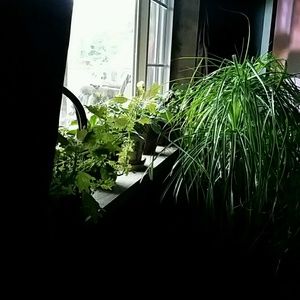 Meet your Posher, Sheri