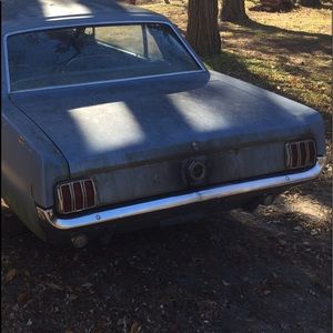 Meet your Posher, Patrick