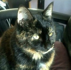 Meet your Posher, Cathy