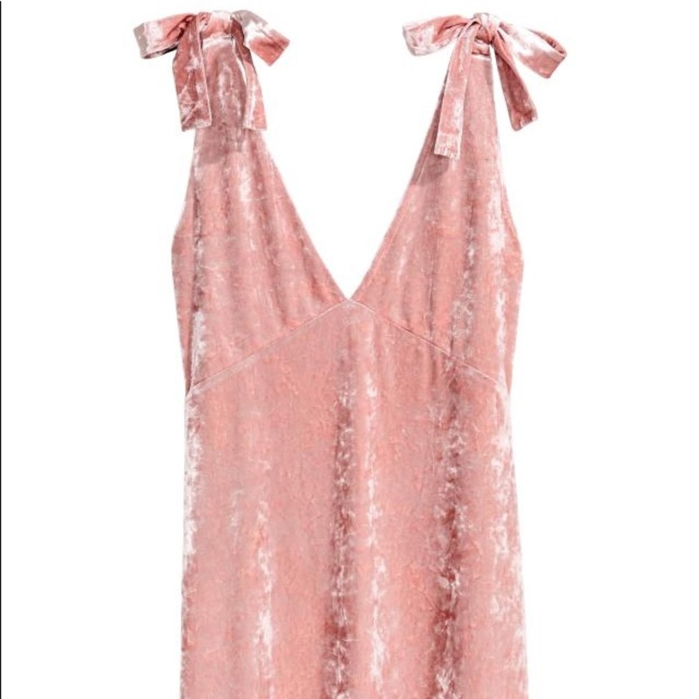 NWT Rosé Crushed Velvet Dress