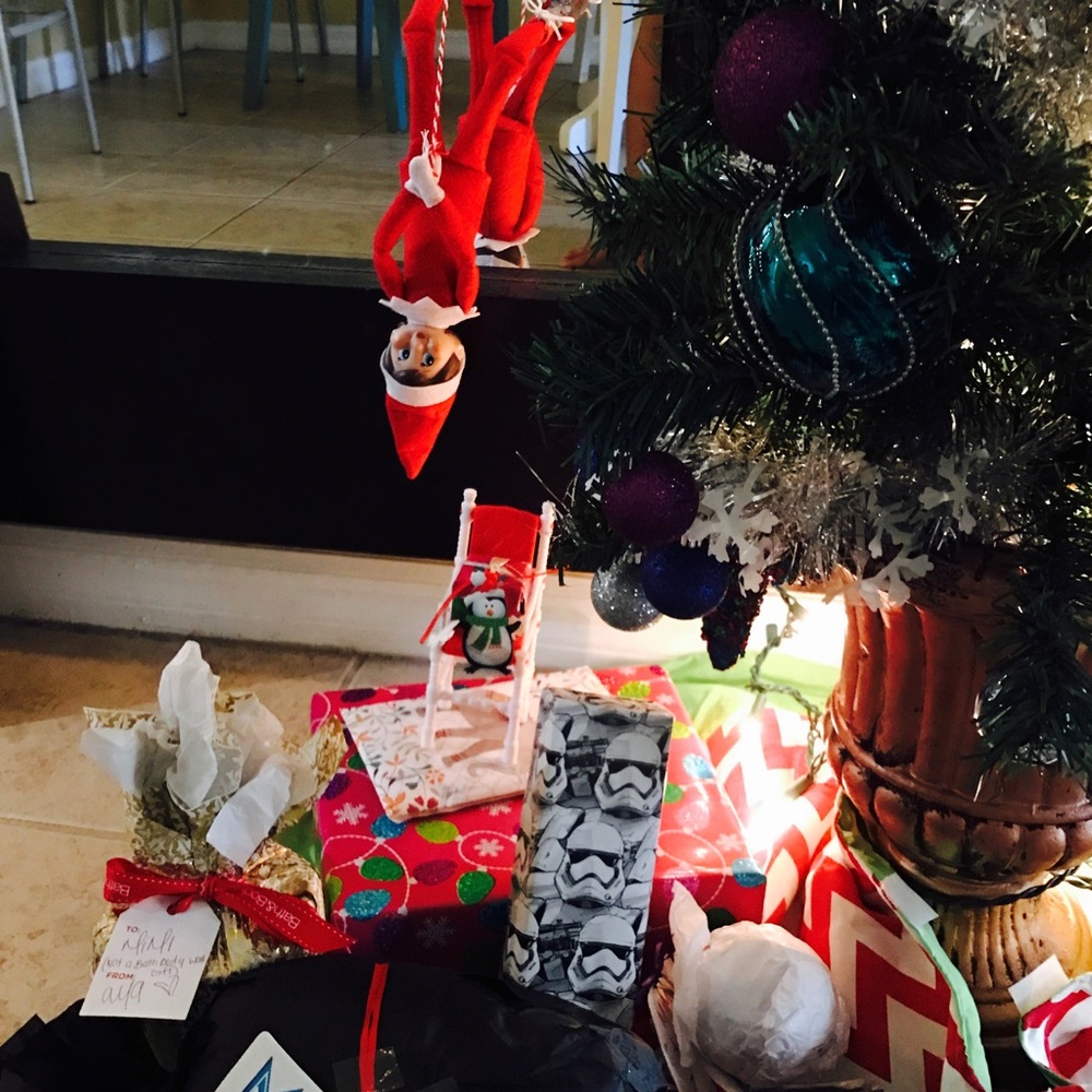 Elf on the shelf with plenty of accessories ✨😍📝