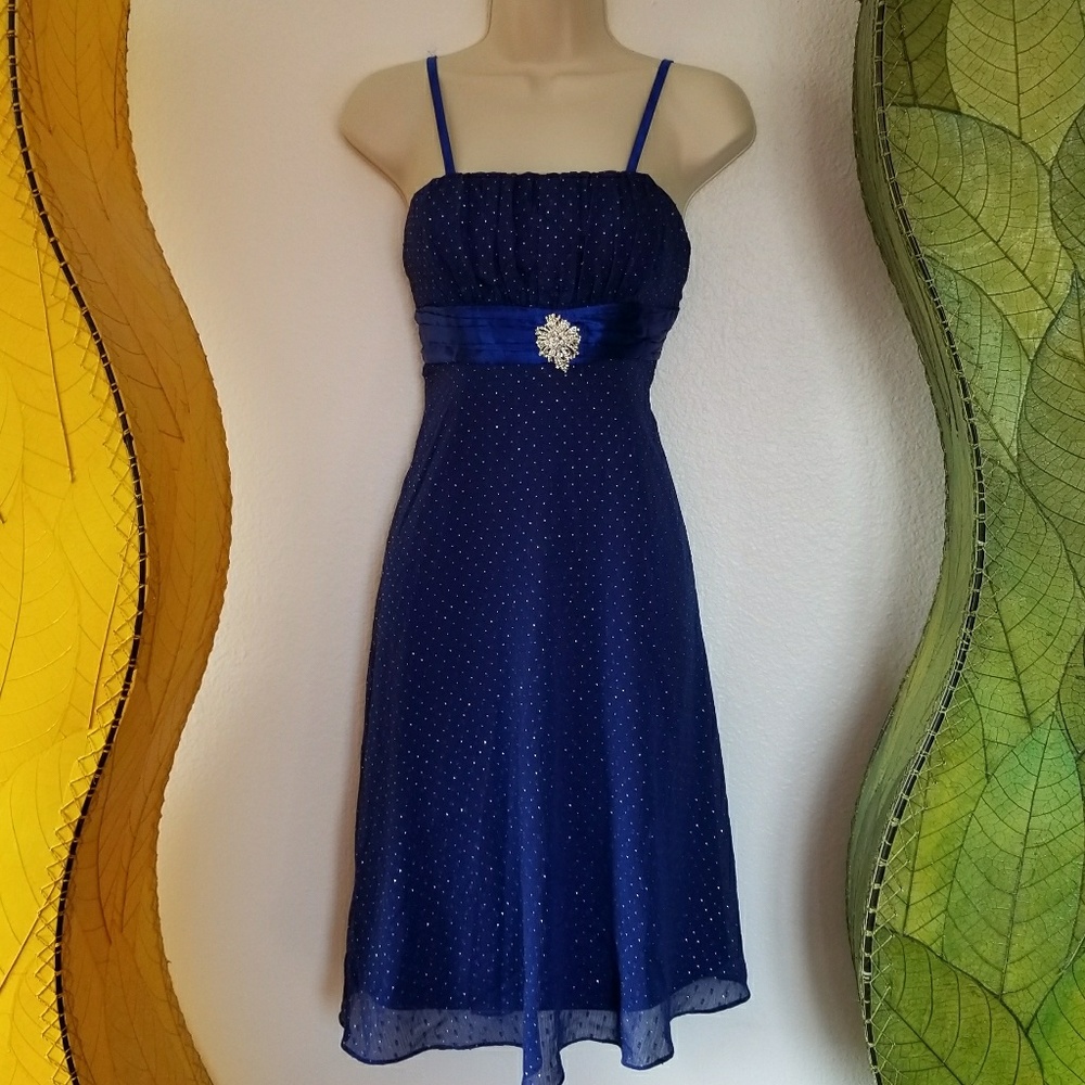 Royal Blue Dress